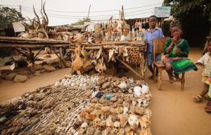 Akodessewa Fetish Market